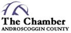 Maine Search Engine Optimization Service Company / SEO Service Consulting Company Maine Net Services in Poland Maine is a Chamber Member Androscoggin County Maine
