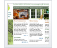 Website Design - Cleangreenspokane.com