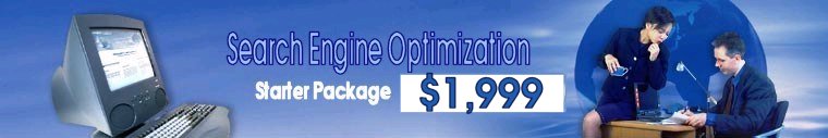 Maine Net Services & Consulting SEO ( Search Engine Optimization ) Service Starter Package for Maine