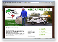 Tree Cutting in Massachusetts