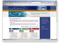 Maine Web Hosting website