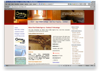 Century-21 Advantage website