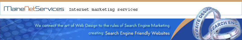 Maine Net Services and Internet Consulting