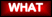 What is Search Engine Optimization