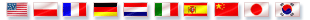 International Search Engine Marketing Services & Consulting Flags